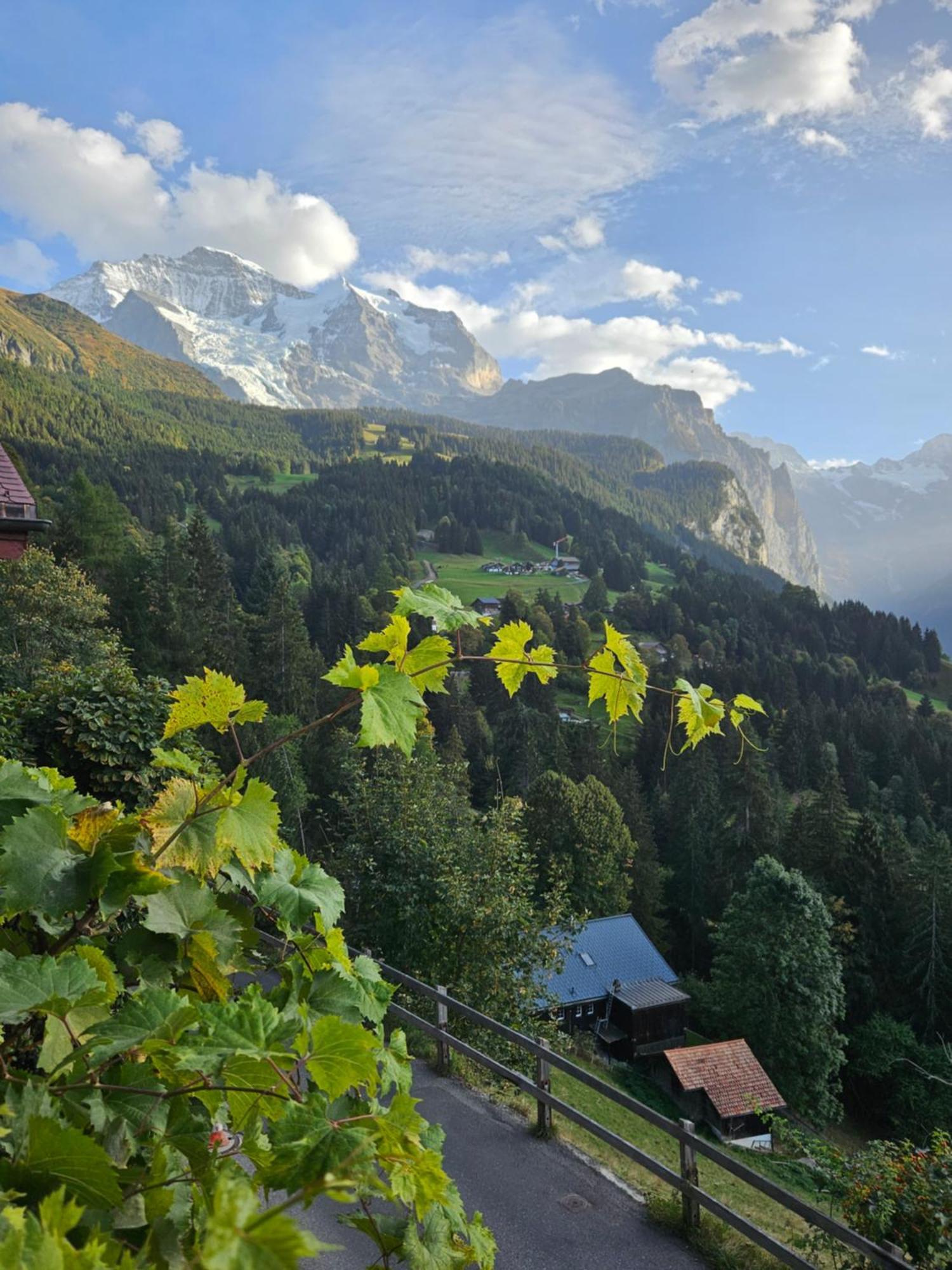 Chalet Aargovia South Wengen Exterior foto
